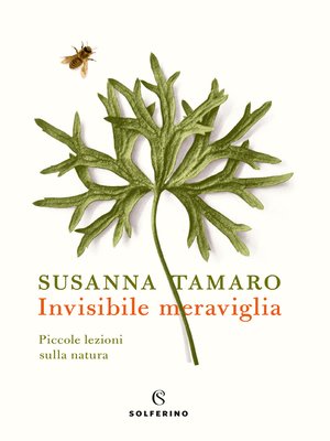 cover image of Invisibile meraviglia
